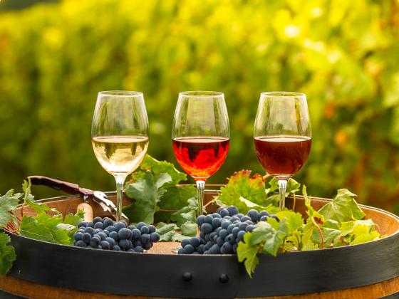 Consejos para escoger un buen vino (sin ser un experto)