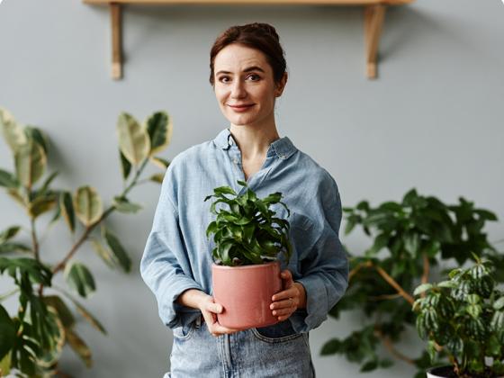 Motivos por los que las plantas pueden ser el mejor compañero de piso