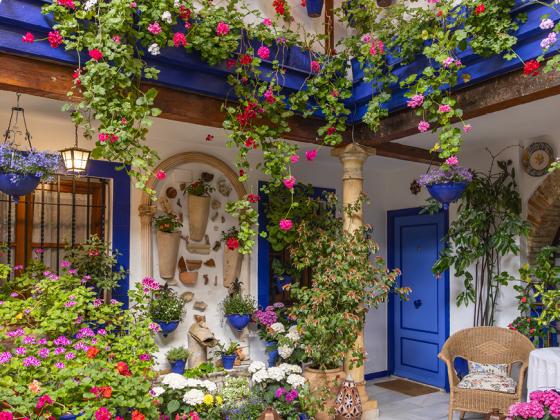 Cultura, flores y tradición: descubre la magia de los patios de córdoba