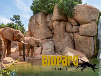 Bioparc Valencia
