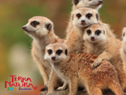 Terra Natura Benidorm