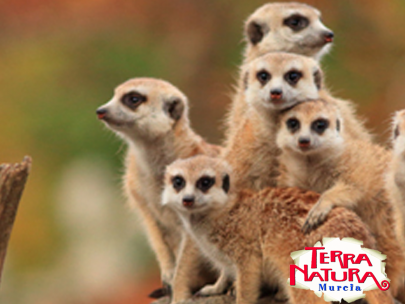Terra Natura Murcia