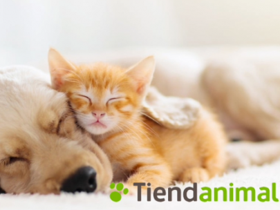 Tiendanimal
