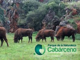 Cabárceno