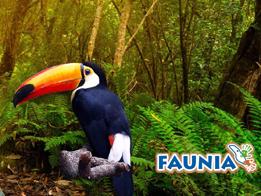 Parque Faunia